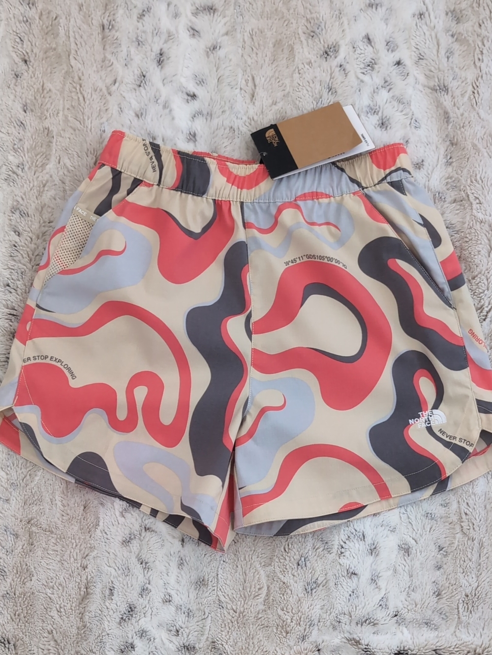 The North Face Class V Pathfinder Shorts